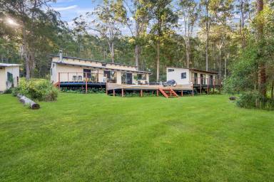 House For Sale - NSW - Crescent Head - 2440 - Rustic Retreat on Lifestyle Acreage Just Minutes to Surf  (Image 2)