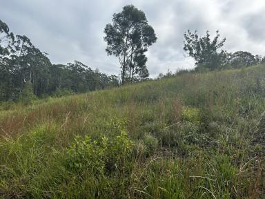 Residential Block For Sale - NSW - Nambucca Heads - 2448 - AFFORDABLE LAND / BEAUTIFUL NAMBUCCA  (Image 2)