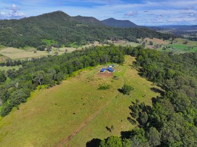 Lifestyle Sold - NSW - Kyogle - 2474 - NESTLED IN THE TREE TOP  (Image 2)