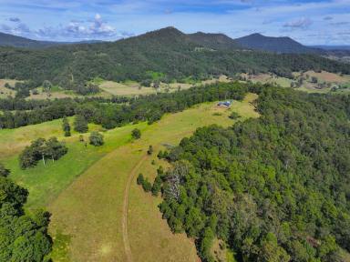 Lifestyle Sold - NSW - Kyogle - 2474 - NESTLED IN THE TREE TOP  (Image 2)