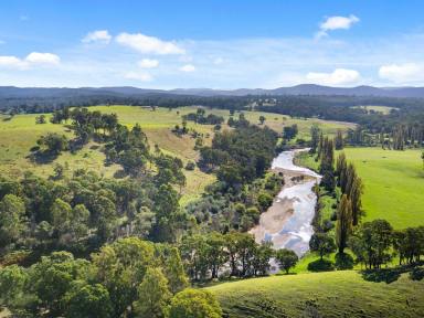 House Sold - VIC - Bruthen - 3885 - ACREAGE ON THE TAMBO RIVER  (Image 2)