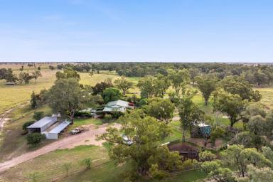 Livestock For Sale - QLD - Flinton - 4422 - "Dorne", Retirement beckons... 

A centralized and versatile Cattle property that will suit a number of buyers requirements.  (Image 2)