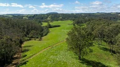 Other (Rural) For Sale - NSW - Dorrigo - 2453 - Large Scale Grazing with Excellent Pastures, Water & Infrastructure  (Image 2)