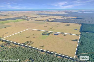 Mixed Farming For Sale - VIC - Giffard West - 3851 - "OMARU"  (Image 2)