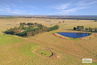 Mixed Farming For Sale - VIC - Giffard West - 3851 - "OMARU"  (Image 2)