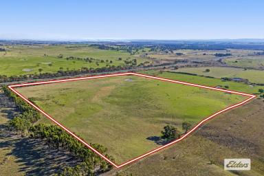 Lifestyle For Sale - VIC - Beaufort - 3373 - Well Positioned Lifestyle Property (52 Acres) Mountain Views  (Image 2)