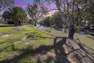 Acreage/Semi-rural Auction - NSW - Moulamein - 2733 - Simply The Best  (Image 2)