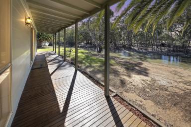 Acreage/Semi-rural Auction - NSW - Moulamein - 2733 - Simply The Best  (Image 2)