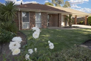 House Sold - VIC - Swan Hill - 3585 - Warm and Inviting Home for Sale  (Image 2)