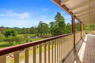 House For Sale - QLD - Glenwood - 4570 - HIGH COUNTRY WITH VIEWS  (Image 2)