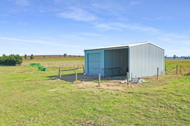 Lifestyle For Sale - VIC - Walpa - 3875 - Lifestyle or Turnout Paddock  (Image 2)