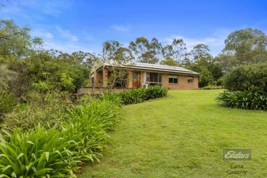 House For Sale - QLD - Glenwood - 4570 - ACREAGE BLISS!  (Image 2)