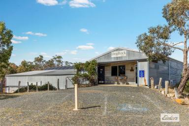 Viticulture For Sale - VIC - Crowlands - 3377 - Dog Rock Winery I Boutique Wine Business - ECO Friendly - Self Sustainable Off Grid - Exceptional Lifestyle Opportunity  (Image 2)