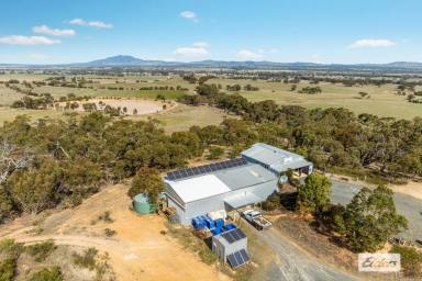 Viticulture For Sale - VIC - Crowlands - 3377 - Dog Rock Winery I Picturesque Boutique Wine Business And Exceptional Lifestyle Opportunity  (Image 2)