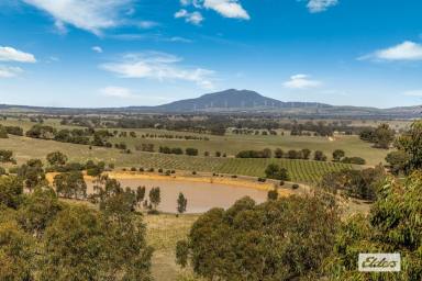 Lifestyle For Sale - VIC - Crowlands - 3377 - Exceptional Lifestyle Opportunity  - Self Sustainable Off Grid - ECO Friendly - In The Heart Of Victoria's Pyrenees & Grampians  (Image 2)