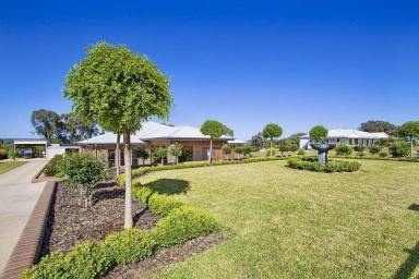 Acreage/Semi-rural For Sale - NSW - Inverell - 2360 - $1,350,000  (Image 2)