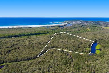 House Sold - NSW - Crescent Head - 2440 - Rare Opportunity in Prime Surfing Location-Untapped Potential!  (Image 2)
