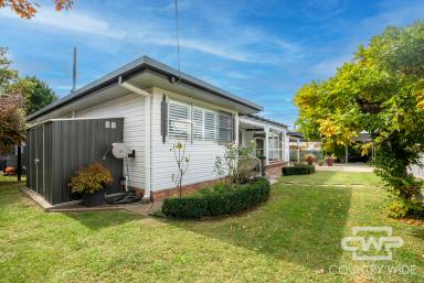 House For Sale - NSW - Glen Innes - 2370 - Neat As A Pin  (Image 2)
