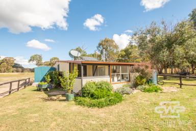 Acreage/Semi-rural For Sale - NSW - Torrington - 2371 - Secluded Sanctuary At Torrington  (Image 2)