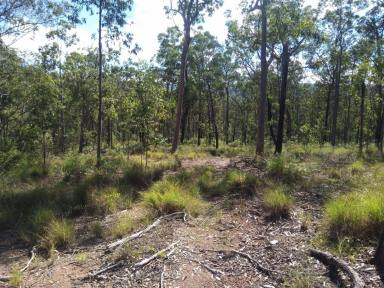 Other (Rural) For Sale - NSW - Tabulam - 2469 - Pretty Gully Getaway  (Image 2)