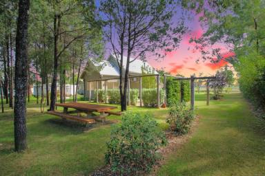 House For Sale - NSW - Spring Ridge - 2343 - UNIQUE SPRING RIDGE CHURCH  (Image 2)