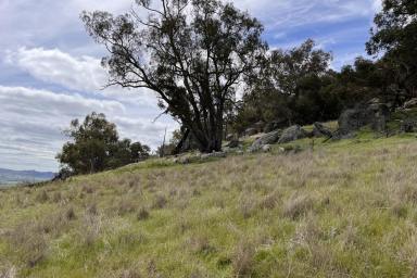 Lifestyle For Sale - NSW - Wyangala - 2808 - PERFECT WEEKEND GET AWAY WITH WATERFRONT VIEWS  (Image 2)