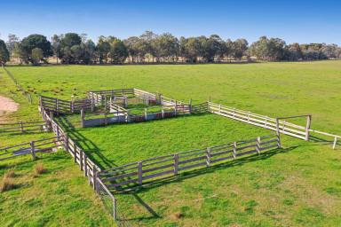 Other (Rural) For Sale - VIC - Hillside - 3875 - 'White Acres' – 163 acres, minutes from Bairnsdale.  (Image 2)