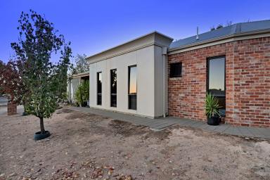 House For Sale - VIC - Mildura - 3500 - Modern, Chic & Oh So Neat!  (Image 2)
