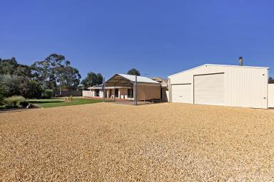 House For Sale - VIC - Mildura - 3500 - Practical Lifestyle all on Offer Here.  (Image 2)