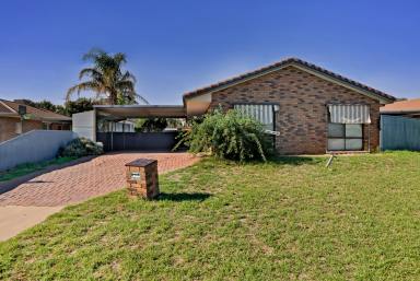 House For Sale - VIC - Mildura - 3500 - Solid Home - Perfect Investment  (Image 2)