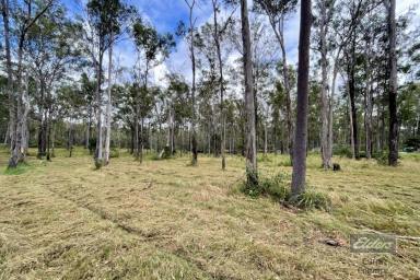 Residential Block Sold - QLD - Glenwood - 4570 - A FIND THAT IS RARE!  (Image 2)