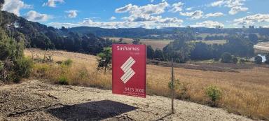 Residential Block For Sale - TAS - Lebrina - 7254 - Rural Lifestyle Land - 4.8 hectares overlooking neighbouring vineyards  (Image 2)
