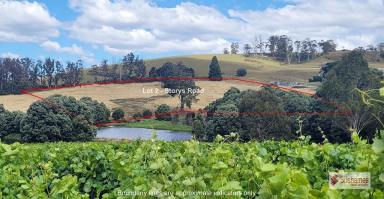 Residential Block For Sale - TAS - Lebrina - 7254 - Rural Lifestyle Land - 4.8 hectares overlooking neighbouring vineyards  (Image 2)
