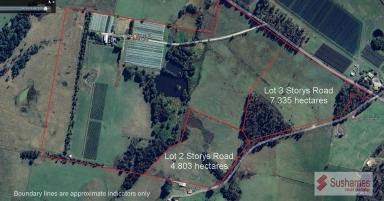 Residential Block For Sale - TAS - Lebrina - 7254 - Rural Lifestyle Land - 7.335 hectares neighbouring vineyard slopes  (Image 2)