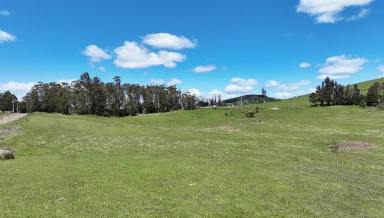 Lifestyle For Sale - TAS - Lebrina - 7254 - Rural Lifestyle Land - 7.335 hectares neighbouring vineyard slopes - Under Unconditional Contract  (Image 2)