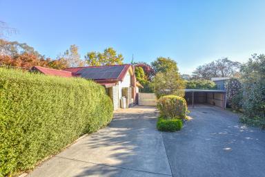 House Leased - VIC - Myrtleford - 3737 - Close to Center of Town  (Image 2)