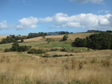 Mixed Farming For Sale - TAS - Flowerdale - 7325 - Edge of Town Holding  (Image 2)