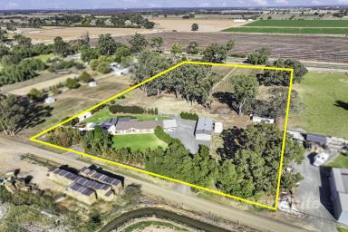 Lifestyle For Sale - VIC - Ballendella - 3561 - Pure Country Bliss that ticks all the boxes!!  (Image 2)