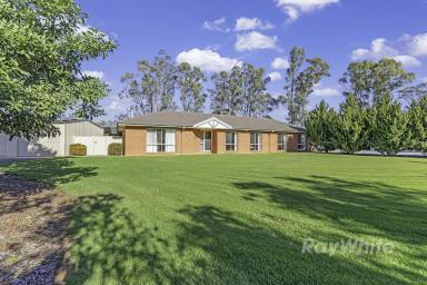 Lifestyle For Sale - VIC - Ballendella - 3561 - Pure Country Bliss that ticks all the boxes!!  (Image 2)