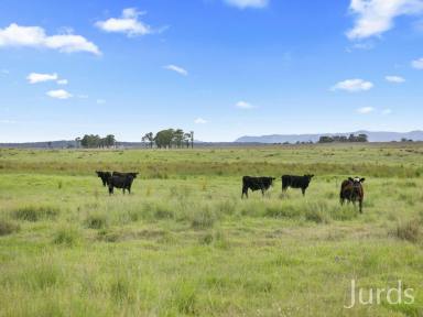 Lifestyle Sold - NSW - Sedgefield - 2330 - A Stunning Blank Canvas  (Image 2)