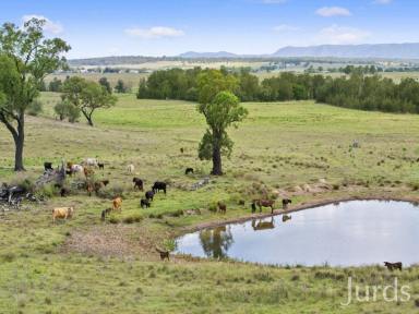 Lifestyle Sold - NSW - Sedgefield - 2330 - A Stunning Blank Canvas  (Image 2)