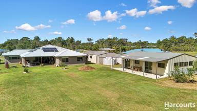 House For Sale - QLD - Oakhurst - 4650 - This one has the WOW factor!!  (Image 2)