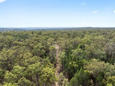 Acreage/Semi-rural For Sale - QLD - Talgai - 4362 - Your very own slice of paradise!  (Image 2)