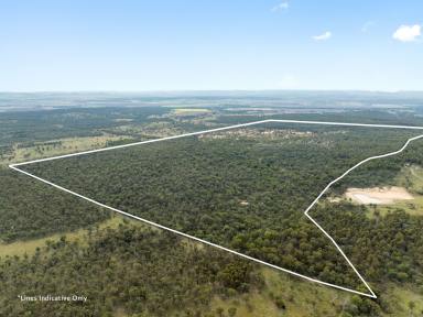 Acreage/Semi-rural For Sale - QLD - Talgai - 4362 - Your very own slice of paradise!  (Image 2)