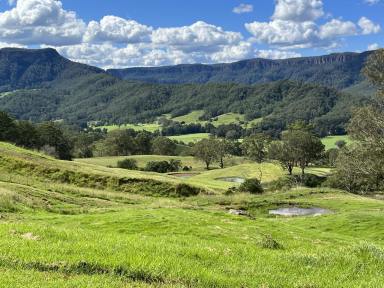 Mixed Farming For Sale - NSW - Kangaroo Valley - 2577 - 70 Useable ACRES Kangaroo Valley Great Escarpment Views Creek Frontage  (Image 2)