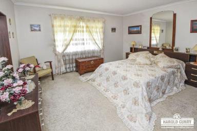 House For Sale - NSW - Tenterfield - 2372 - Solid Family Home Priced to SELL.....  (Image 2)