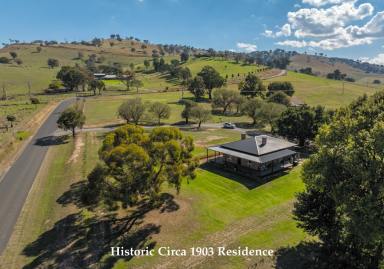 Lifestyle For Sale - NSW - Gundagai - 2722 - Reno - A Wonderful Country Lifestyle set in a Picturesque Location  (Image 2)