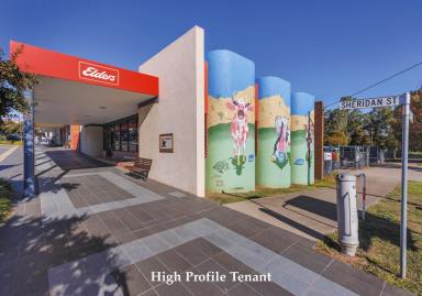 Retail Sold - NSW - Gundagai - 2722 - Prime Commercial Property Investment  (Image 2)