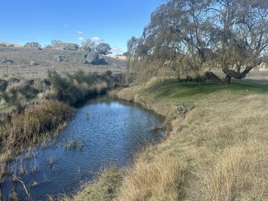 Livestock Sold - NSW - Gunning - 2581 - Premium Mixed Farming and Grazing Opportunity  (Image 2)