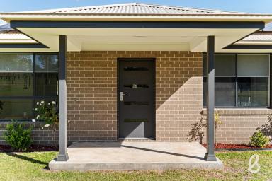 House For Sale - NSW - Singleton - 2330 - Rural living only minutes to town  (Image 2)